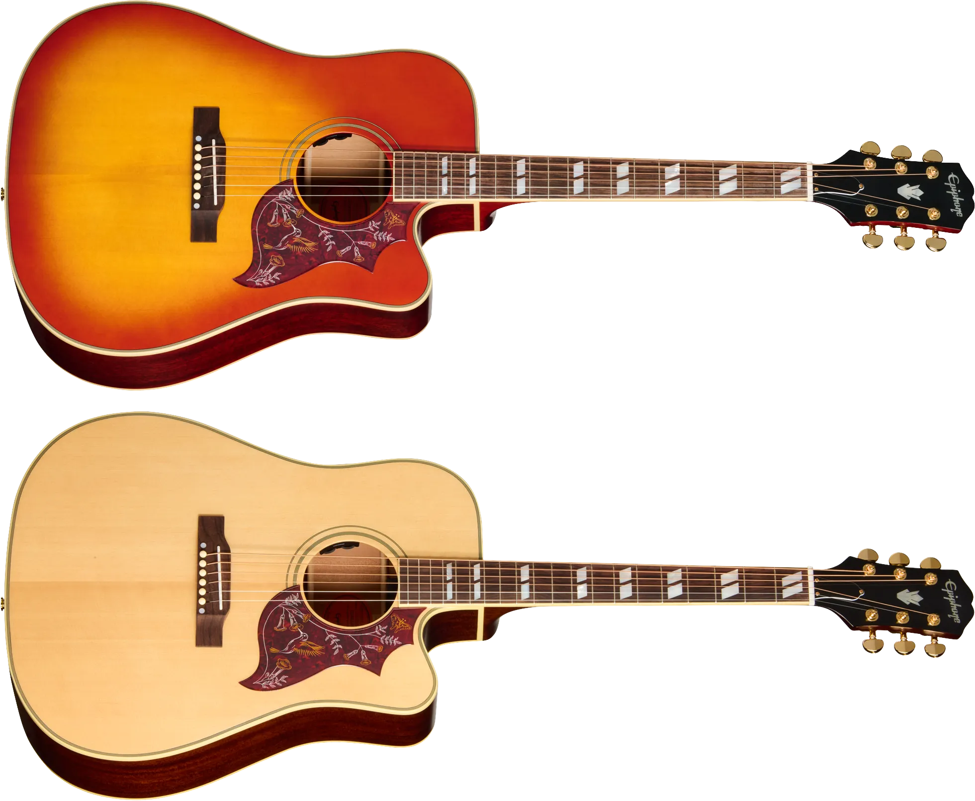 Hummingbird Standard EC