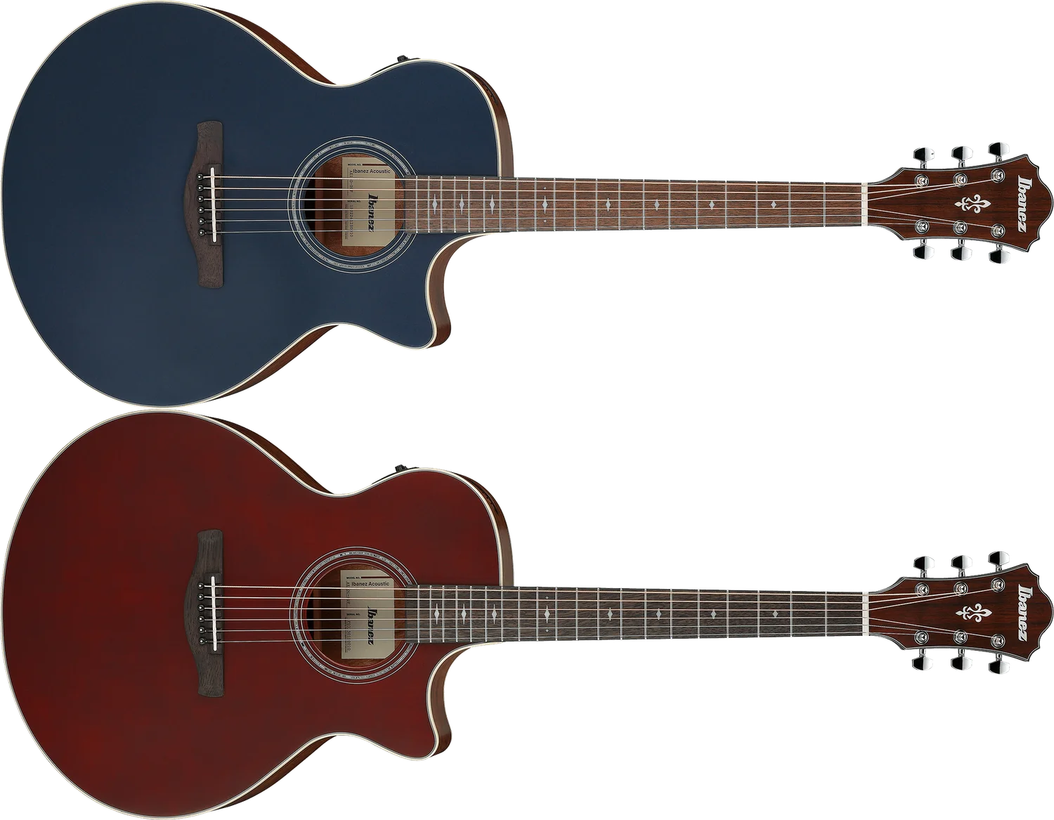 Ibanez AE100