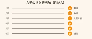右手の指と担当弦（PIMA）の対応図